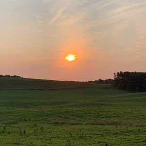 Meet your Posher, Josh